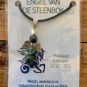 Engel Steenbok-Mosagaat