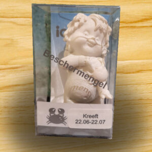 Beschermengel Kreeft