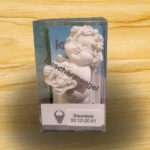 Beschermengel Steenbok