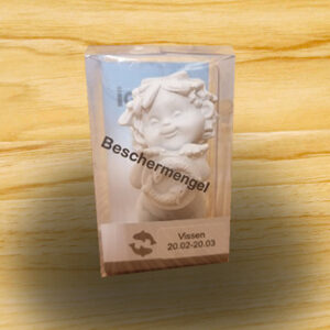 Beschermengel Vissen