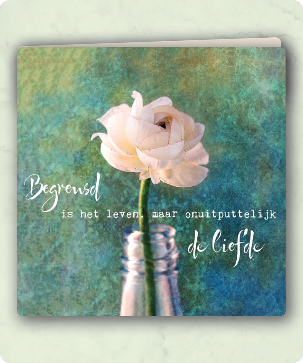 Moments TK31 Begrensd is het leven maar onuitputtelijk de liefde