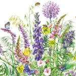 PS21 Charm of nature