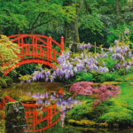 PS31 Beautiful Garden