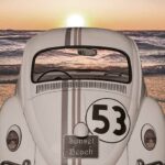 PS37 Sunset Beach Beetle