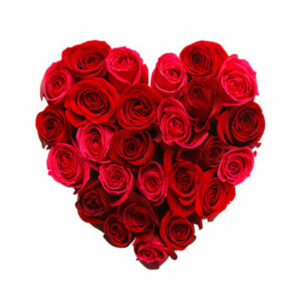 PS46 Red rose heart
