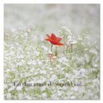 Moments 26 En dan staat de wereld stil ..