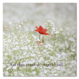 Moments 26 En dan staat de wereld stil ..