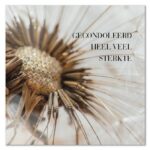 Moments 27 Gecondoleerd heel veel sterkte