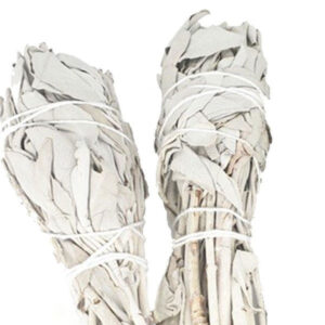 Witte salie smudge