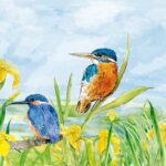 Animal Friends Kingfisher- AF003