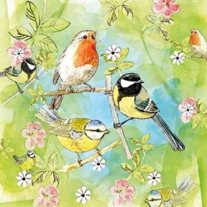 Animal Friends Birds - AF004