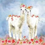 Animal Friends Alpaca - AF013