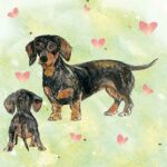 Animal Friends Teckel - AF016