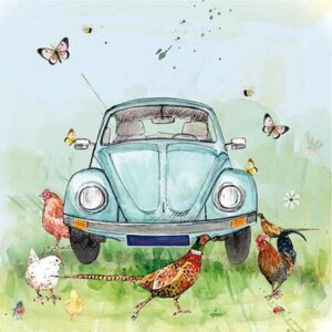 Animal Friends Beetle - AF019