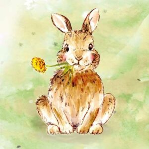 Animal Friends Rabbit - AF029