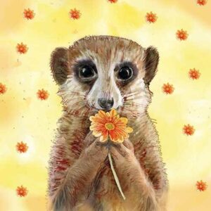 Animal Friends Meerkat - AF040