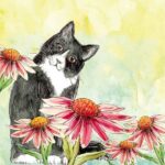 Animal Friends Black Cat - AF047