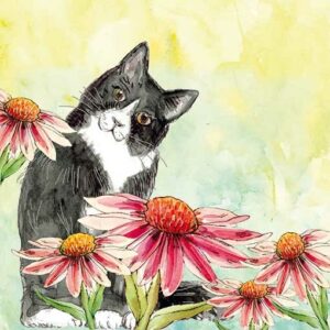 Animal Friends Black Cat - AF047