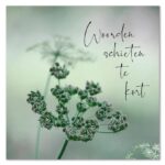 Moments 29 Woorden schieten te kort