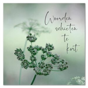 Moments 29 Woorden schieten te kort