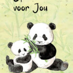 GL010 Speciaal voor jou