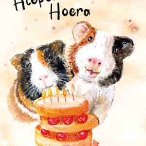 GL015 Hieperdepiep Hoera