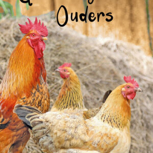 GL051 Geweldige Ouders