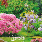 GL054 Liefste Opa en Oma