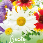 GL056 Beste Vriendin