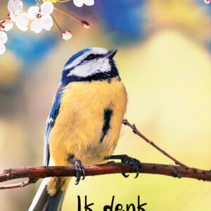 GL057 Ik denk aan je