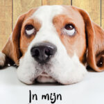 GL089 In mijn Gedachte