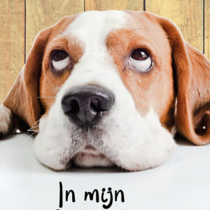 GL089 In mijn Gedachte