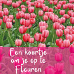 GL078 Een kaartje om op te fleuren