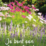 GL071 Je bent een Mooi Mens!