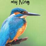 GL067 You are my King