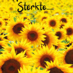 GL063 Heel veel sterkte