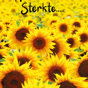 GL063 Heel veel sterkte