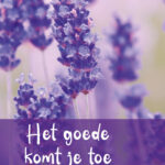 GL061 Het goede komt je toe