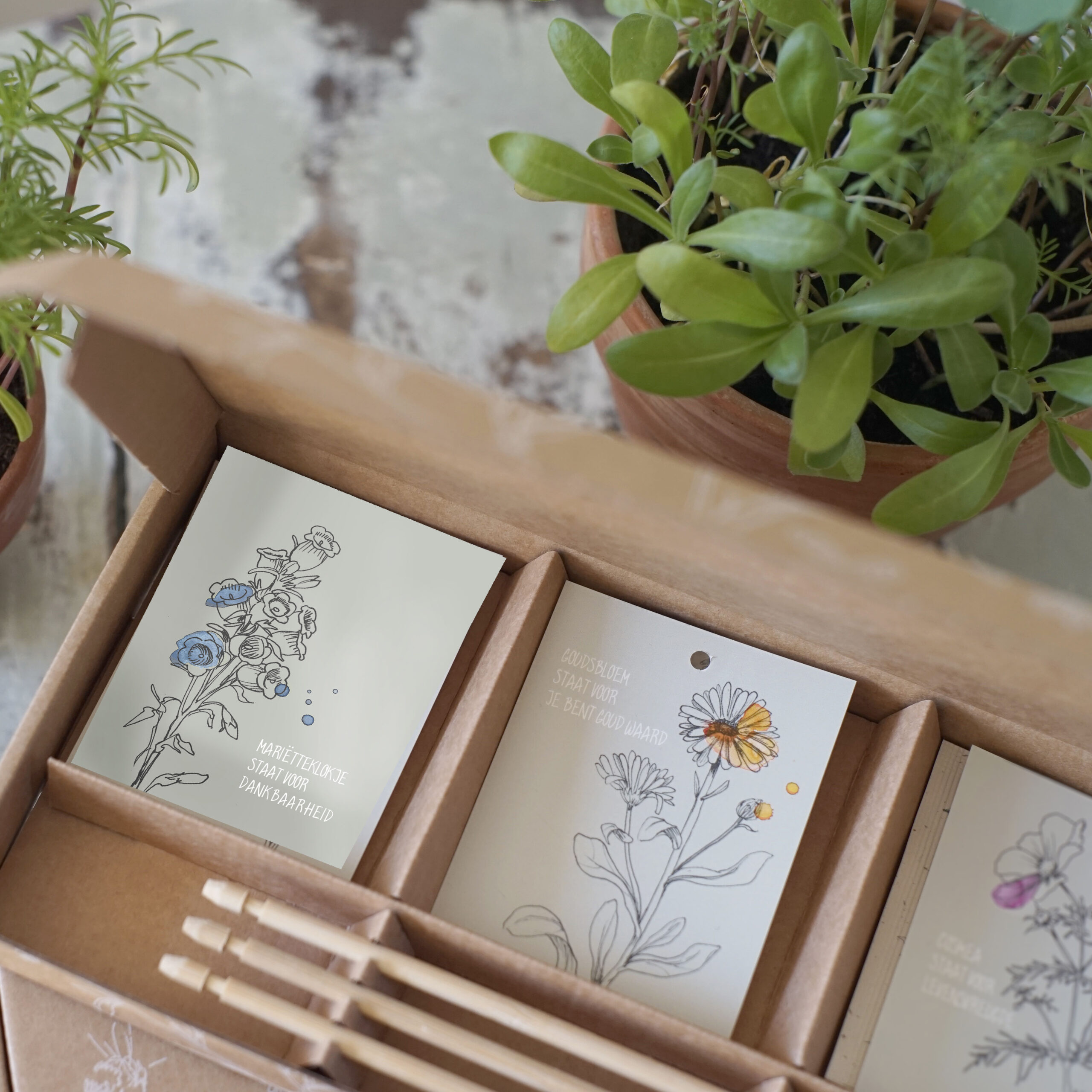 Kadodoosje Waardering zaaien - Afbeelding 4