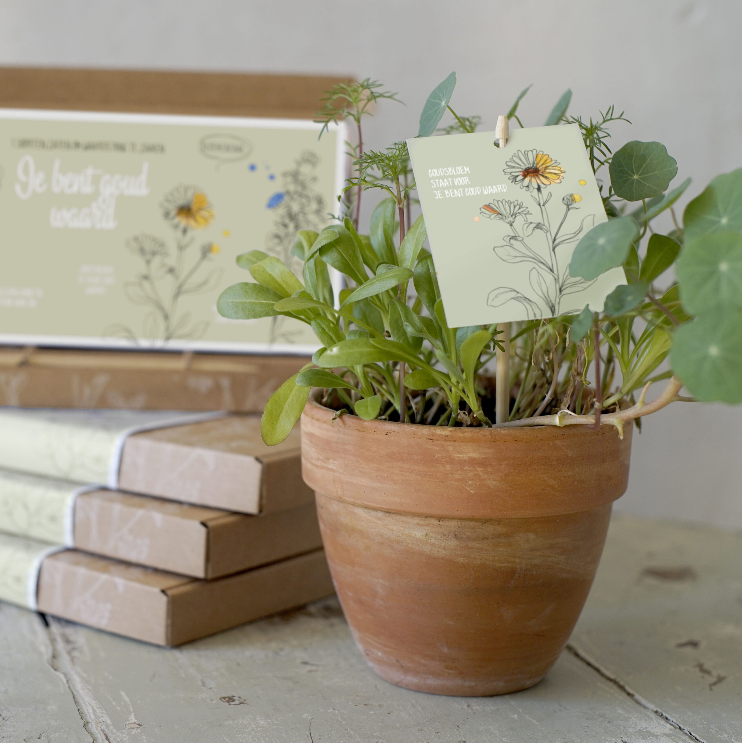 Kadodoosje Waardering zaaien - Afbeelding 3