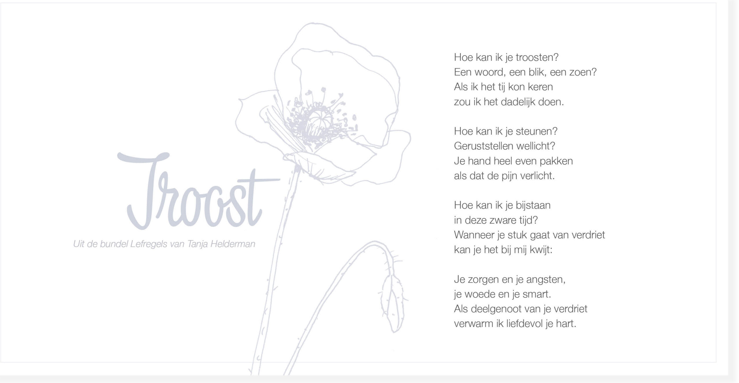 Kadodoosje Troost zaaien - Afbeelding 3