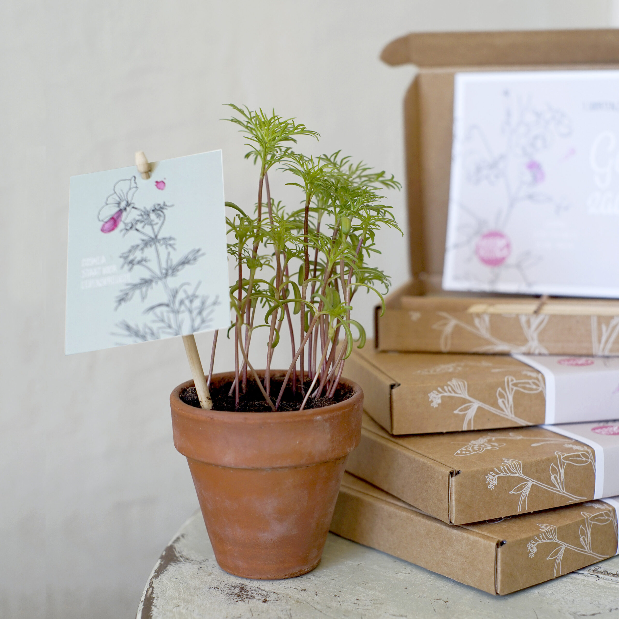 Kadodoosje Geluk zaaien - Afbeelding 4