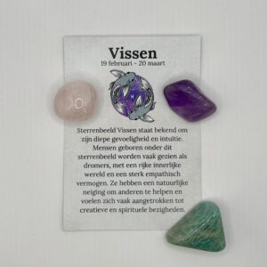 Edelsteen set sterrenbeeld Vissen